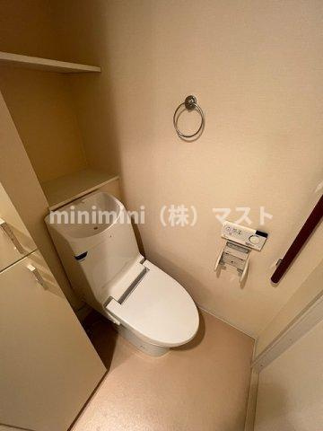 ロイヤルパークス桃坂のトイレ