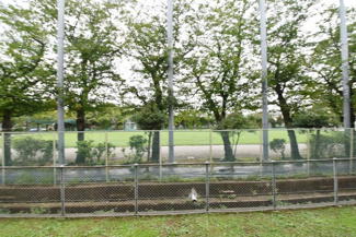 【展望】 | お部屋からの眺望。バルコニーからの景色です～即日のご見学可能～　お問合せはお気軽にどうぞ。
