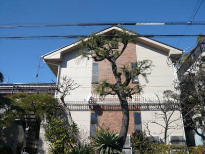 【外観】 | じゅねす