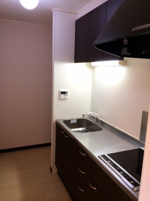 【キッチン】 | レオネクストトレランスⅡ | 画像5