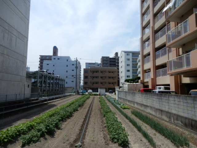 アーバンフラッツＫの展望