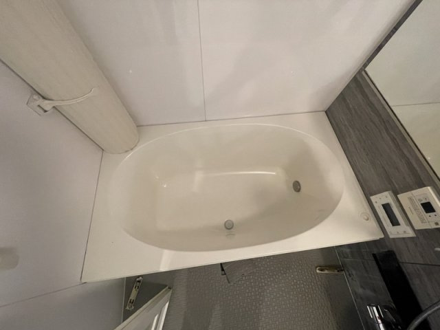 アルファステイツ城乾南新在家の浴室
