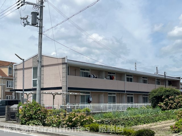 フォレスト光