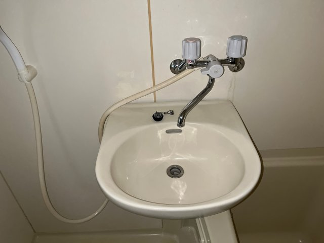 フォレスト光の洗面所