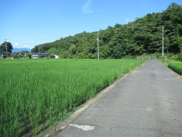 津山市河辺　貸土地　580坪の外観