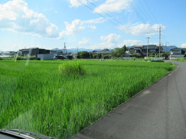津山市河辺　貸土地　580坪の外観