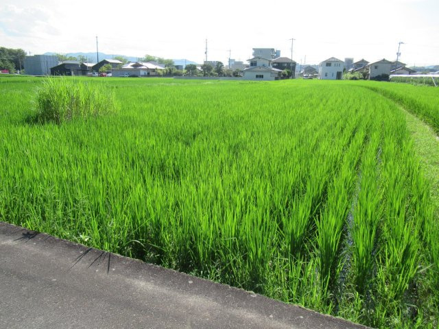 津山市河辺　貸土地　580坪の外観