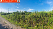 牛久市柏田町の画像