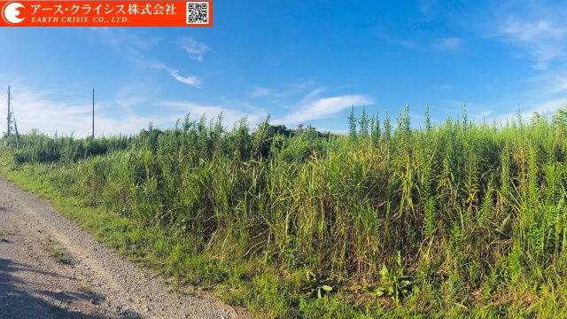 【外観】 | 牛久市柏田町 | 建築条件がなく、お好きなハウスメーカーでの建築はもちろん、当社でも注文建築を承ることができるので、土地の購入から注文建築までの流れも一括でできます♪