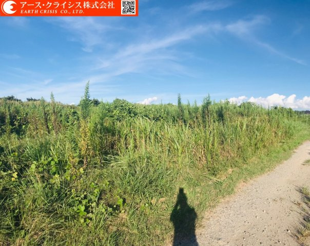 【外観】 | 牛久市柏田町 | 現況更地にてお引渡しとなるので、解体費用等の初期費用も軽減できるのも嬉しいポイントです♪注文建築用地に最適な立地です！