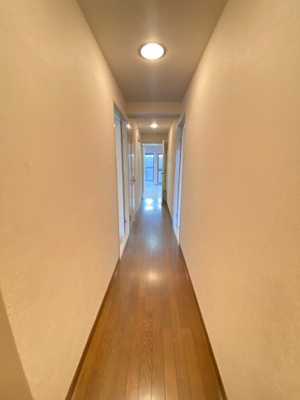 【その他】 | スプリングヒルズ