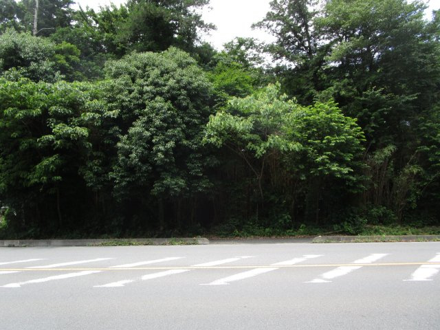 比企郡嵐山町川島　土地492坪の外観