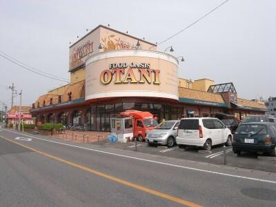 宇都宮市鶴田町　327.07㎡　売地の周辺|フードオアシスＯＴ…まで1074m