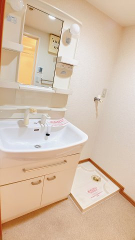 ココルーナの洗面所