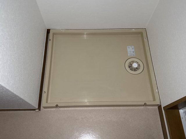 AMBER　PEARLのその他