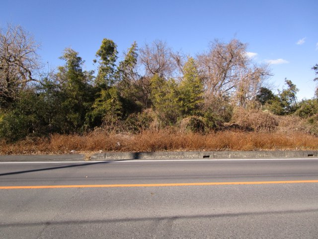 東松山市東平　土地235坪の外観