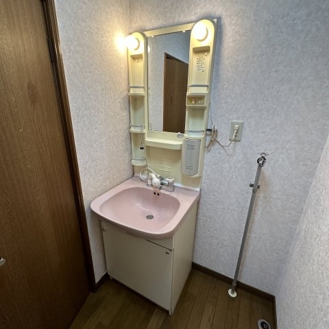 エクセル桜木の洗面所