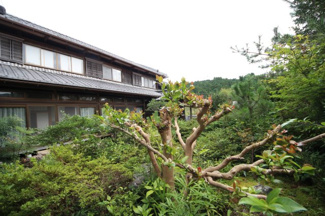 【庭】 | 甲賀市土山町笹路222-1　中古戸建