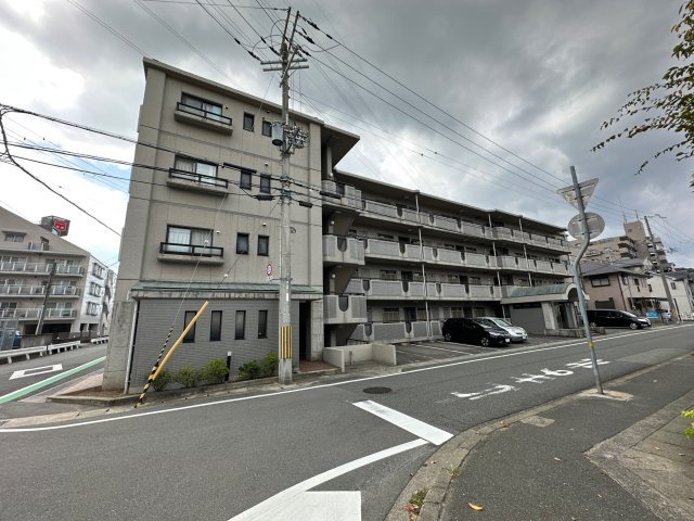 ドール辻井