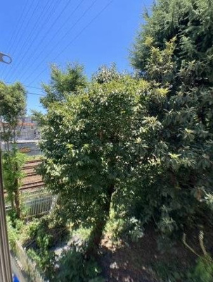 【展望】 | ＢＬＩＳＳ　ＴＥＲＲＡＣＥ川崎堤根ＰＲＩＭＥ