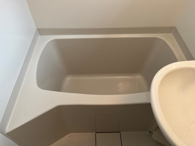 Ｍハイツ城北の浴室