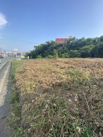 【外観】 | 玉名市岱明町庄山　土地341坪　 | ☆県道347号線　お弁当のヒライ岱明店様のお隣の土地！☆