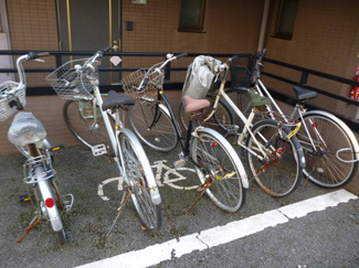 【その他共用部分】 | 敷地内に自転車駐輪場を完備しています！自転車はちょっとした移動手段に便利ですよね！