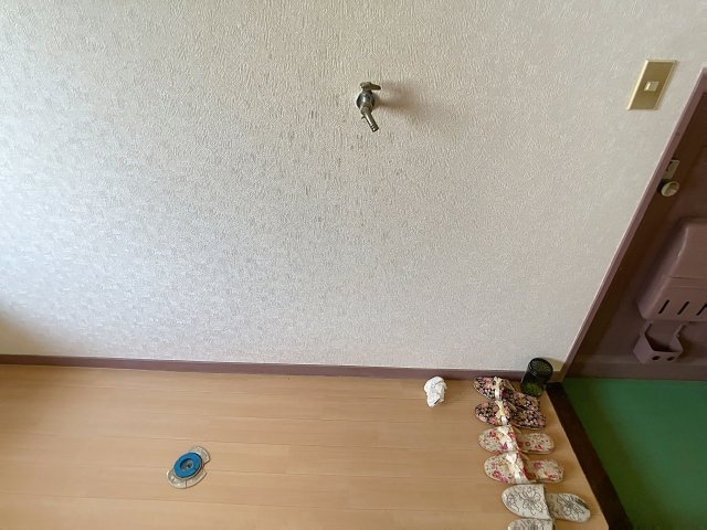 ドリームコーポⅡのその他