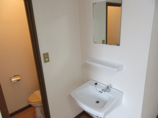 ドリームコーポⅡの洗面所|ゆったりとスペースのある洗面所