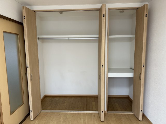 パレオシンセイの収納