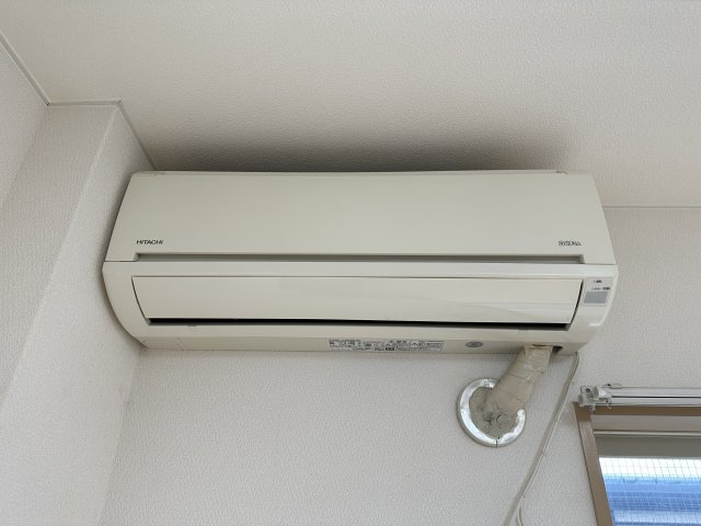 パレオシンセイのその他