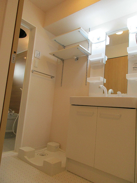 プレジールの洗面所