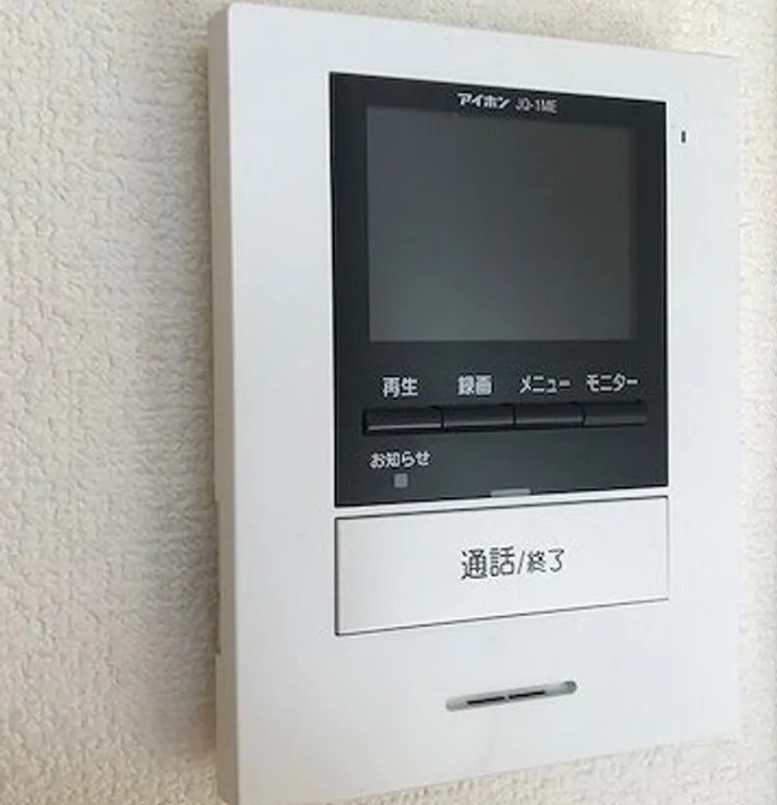レオネクストスムのセキュリティ|類似です