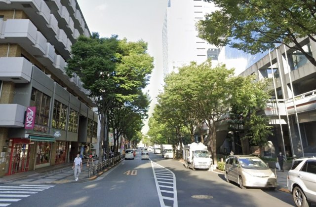 メゾンドール錦糸町の周辺