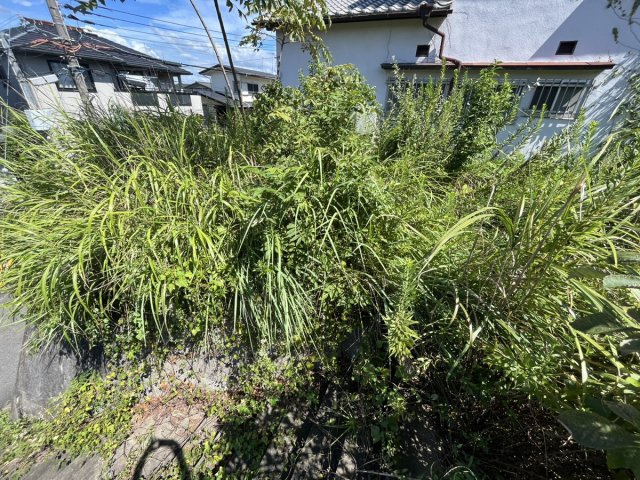 三木市緑が丘町中１丁目／売土地の外観