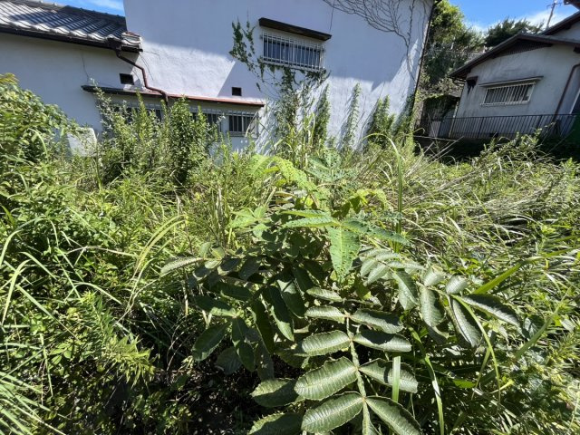 三木市緑が丘町中１丁目／売土地の外観