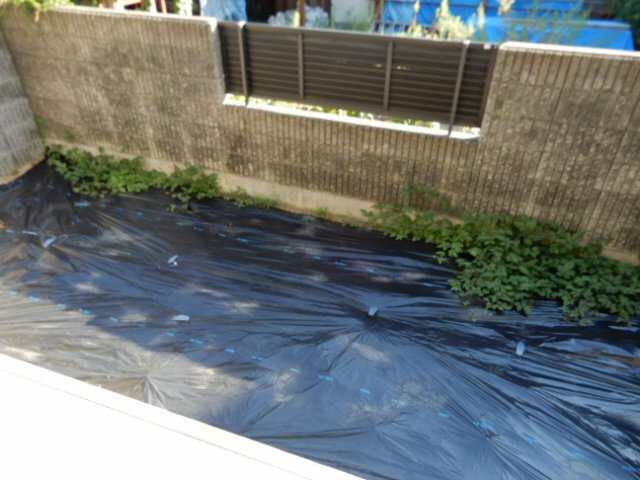 パーム・コートの庭