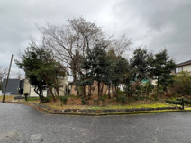 大津市北比良970-81　売土地の画像