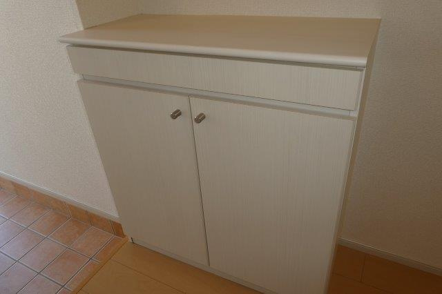 サンメゾンＭ・ＫⅡの内装|シューズボックス