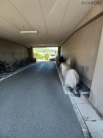 【駐輪場】 | ライオンズマンション姫路西今宿