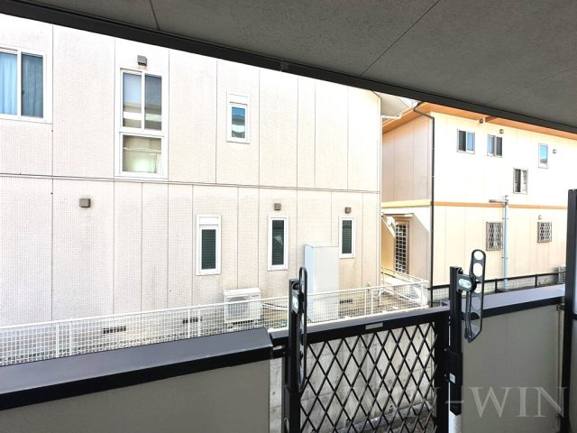 パラシオンの展望