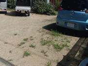 周防大島町・西安下庄の画像