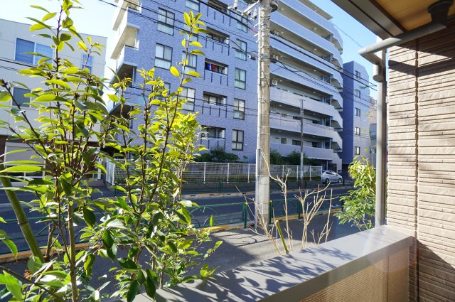 Bloom　Stageの展望