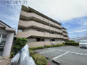 ＰＡＬーＴＯＲＩＳＨＩＭＡの画像