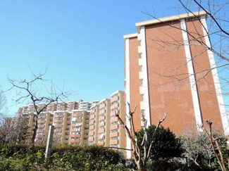 【外観】 | 総戸数1035戸、昭和49年3月築、管理人は日勤勤務につき管理体制良好です♪