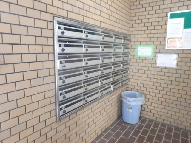  | ドムール若山