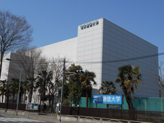 大学