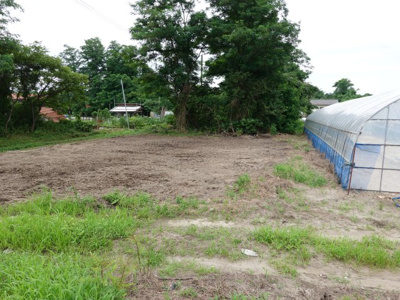 【外観】 | 新潟市北区太夫浜　調整区域　売地　250万円