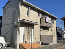 キュートの画像