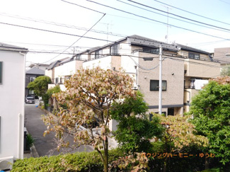 【展望】